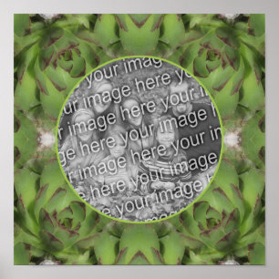 Succulents Nature Frame erstellen Sie Ihr eigenes  Poster