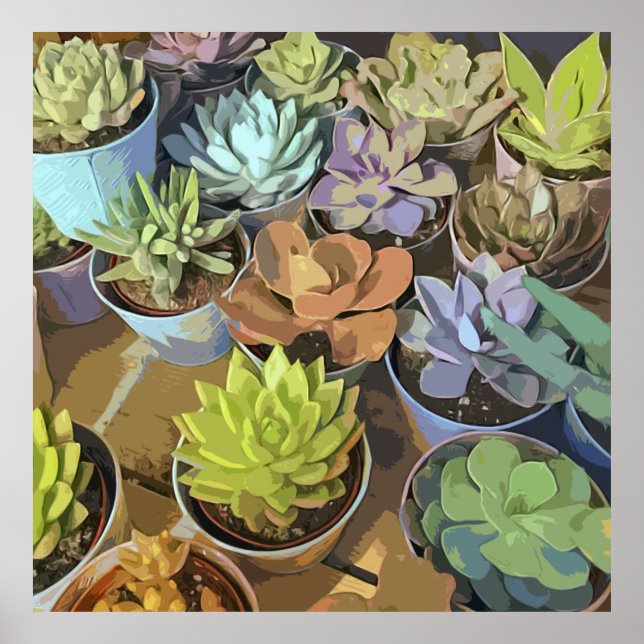 Succulents Poster (Vorne)