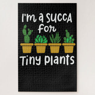 Succulents Tiny Pflanze