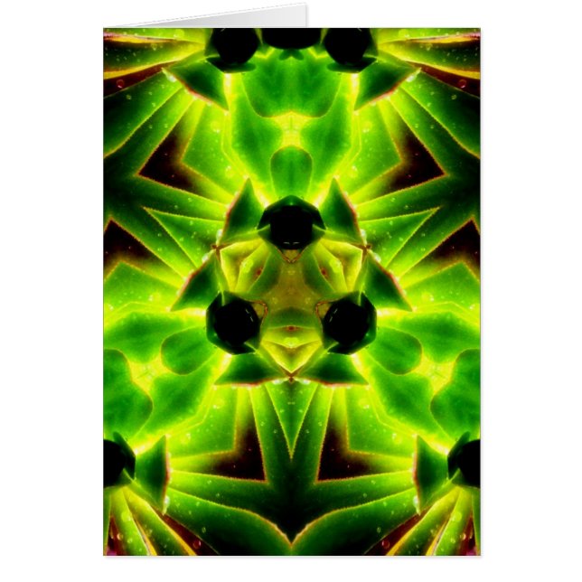 SucculenTy Card (Vorne)