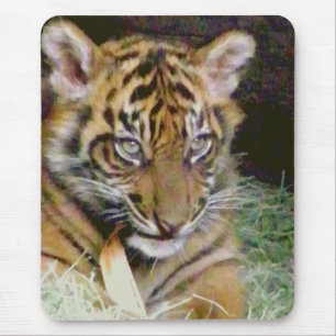 Suche_ Mousepad