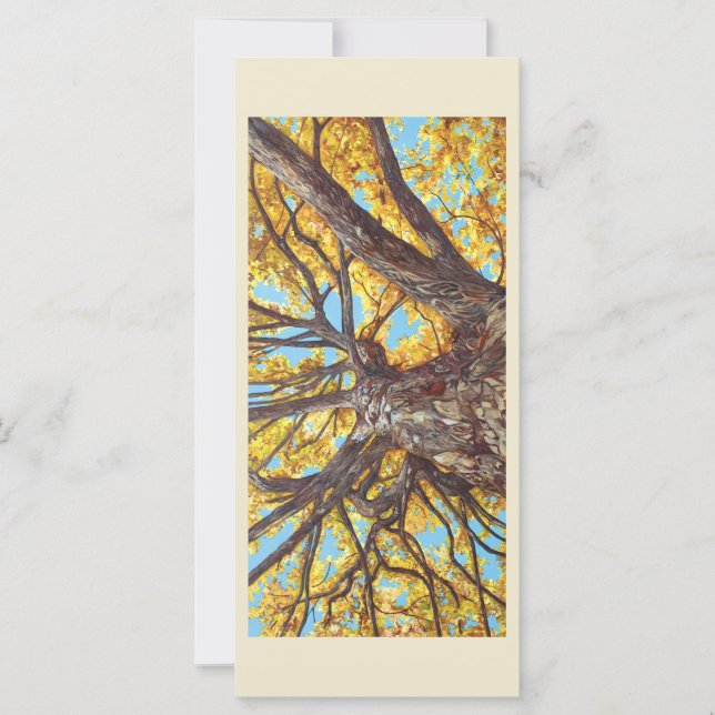 Suche nach einer Flachkarte (Vorderseite)