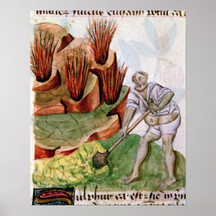 Suche nach Schwefel, Dioscorides' 'De Herbis' Poster