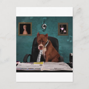 Suche nach Talenten Postkarte