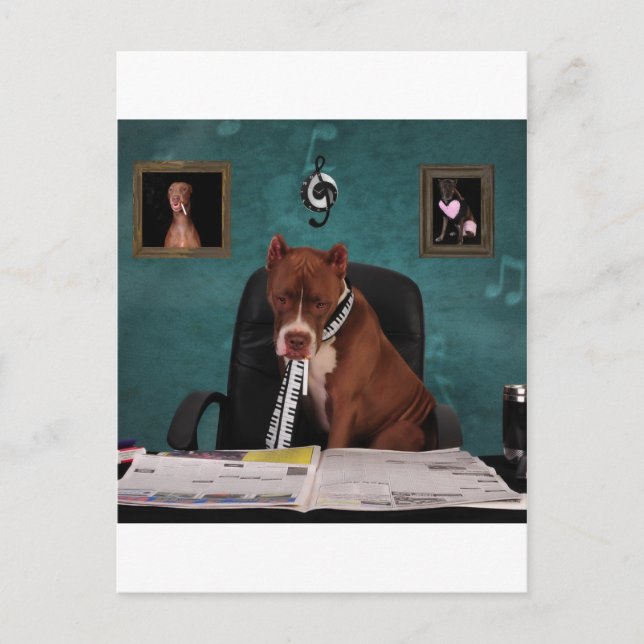 Suche nach Talenten Postkarte (Vorderseite)