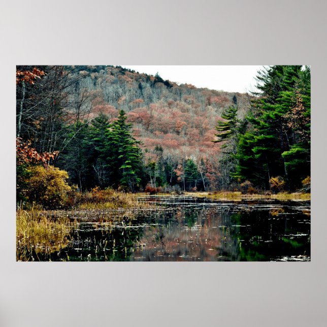 Suche und Plakat finden (Vorne)