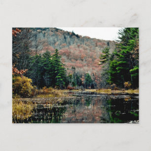 Suche und Suche nach Postkarte