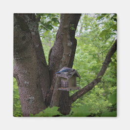 Suchen nach einem Biss, um zu essen Magnet