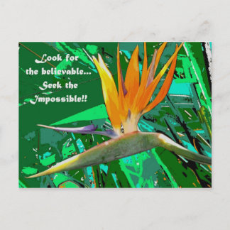 Suchen Sie nach... Postkarte