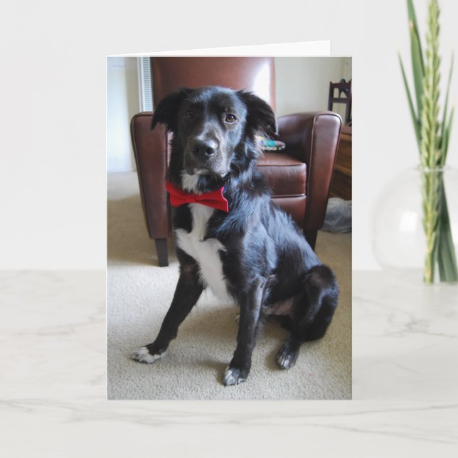 Suchfeld Karte (Vorderseite)