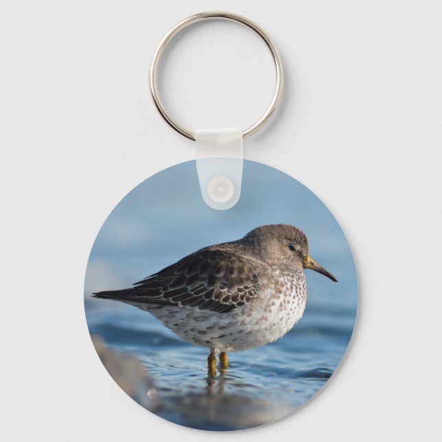 Suchrock Sandpiper Schlüsselanhänger (Vorderseite)