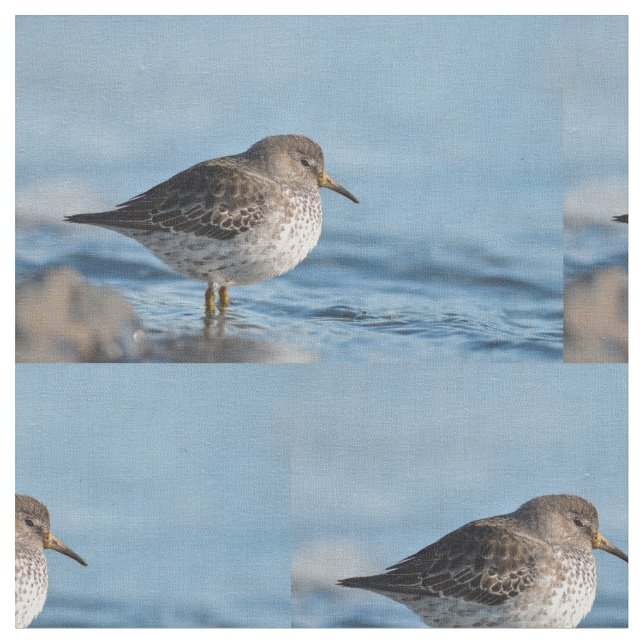 Suchrock Sandpiper Stoff (Nahaufnahme)