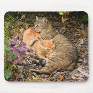 Suckling Ginger Cat Mousepad