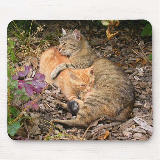 Suckling Ginger Cat Mousepad (Vorne)