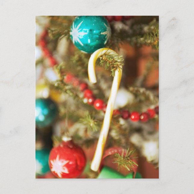 Sucre de canne sur les Cartes d'Arbre et Stickers (Devant)