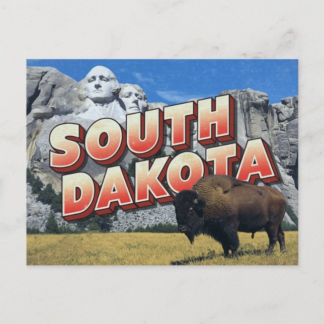 Süd-Dakota Mount Rushmore Bison Postkarte (Vorderseite)
