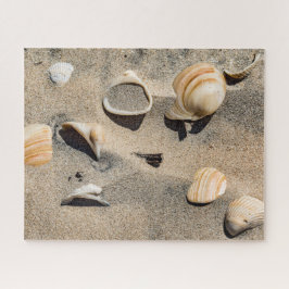 Süd-Padre-Insel, Muscheln und Sand
