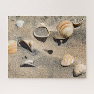 Süd-Padre-Insel, Muscheln und Sand