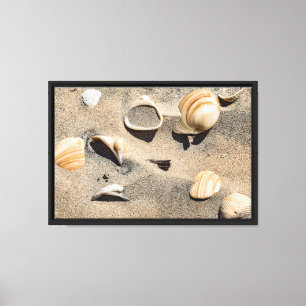 Süd-Padre-Insel, Muscheln und Sand Leinwanddruck