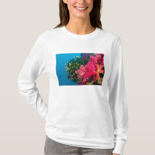 Süd-Pazifik, Fidschi, Viti Levu, Bligh Water, T-Shirt