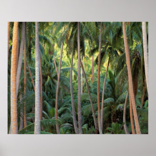 Süd-Pazifik, Französisch-Polynesien, Bora Bora. Poster