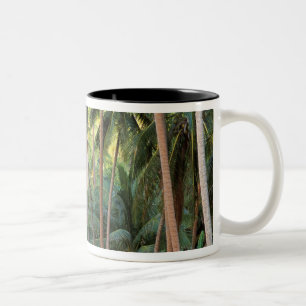 Süd-Pazifik, Französisch-Polynesien, Bora Bora. Zweifarbige Tasse