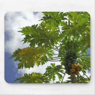 Süd-Pazifik, Französisch-Polynesien, Moorea. 2 Mousepad