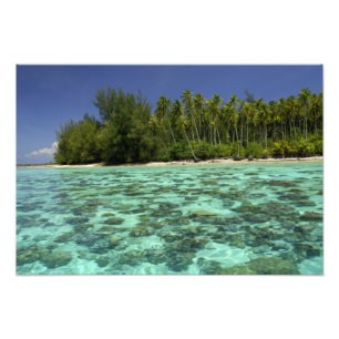 Süd-Pazifik, Französisch-Polynesien, Moorea 3 Fotodruck