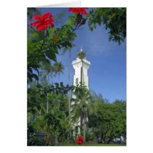 Süd-Pazifik, Französisch-Polynesien, Tahiti. Hibis