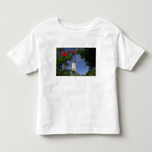 Süd-Pazifik, Französisch-Polynesien, Tahiti. Hibis Kleinkind T-shirt