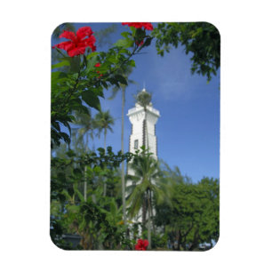 Süd-Pazifik, Französisch-Polynesien, Tahiti. Hibis Magnet