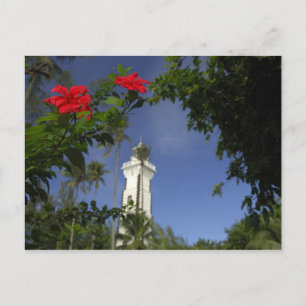 Süd-Pazifik, Französisch-Polynesien, Tahiti. Hibis Postkarte