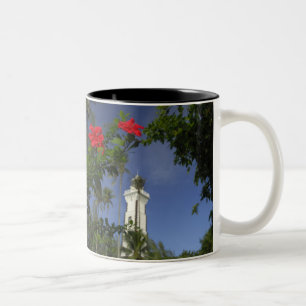 Süd-Pazifik, Französisch-Polynesien, Tahiti. Hibis Zweifarbige Tasse
