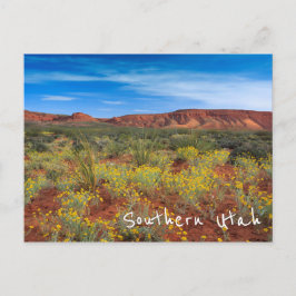 Süd-Utah-Wildblumen Postkarte