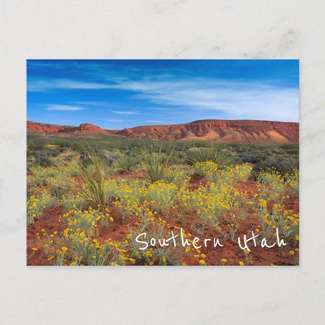 Süd-Utah-Wildblumen Postkarte (Vorderseite)