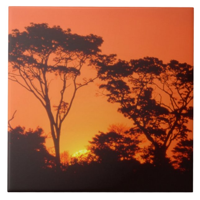 Südafrika.  afrikanischer Sonnenuntergang Fliese (Vorderseite)