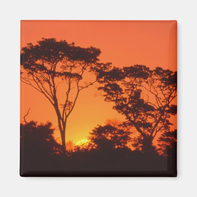 Südafrika. Afrikanischer Sonnenuntergang. Magnet (Vorne)