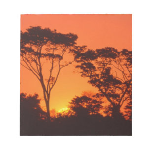 Südafrika. Afrikanischer Sonnenuntergang. Notizblock