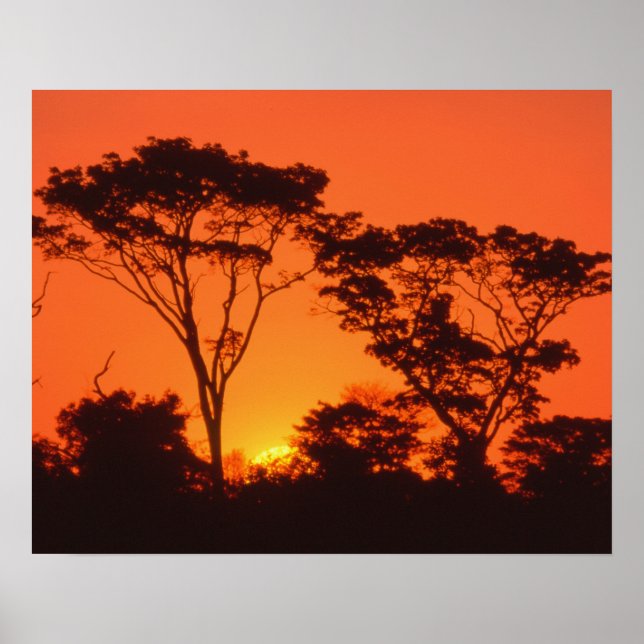 Südafrika. Afrikanischer Sonnenuntergang. Poster (Vorne)