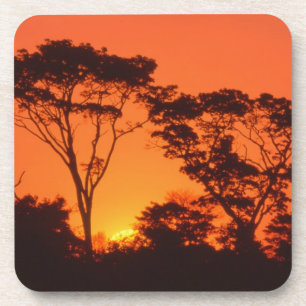 Südafrika. Afrikanischer Sonnenuntergang. Untersetzer