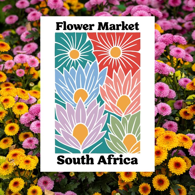 Südafrika-Blumenmarkt Farbige Proteas Postkarte (South Africa Flower Market Colorful Proteas Postcard)