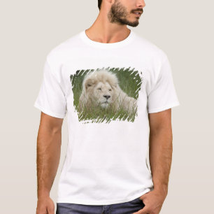 Südafrika, East London, Inkwenkwezi Private T-Shirt