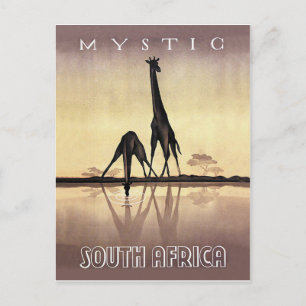 Südafrika, Giraffe, Vintage-Reise Postkarte