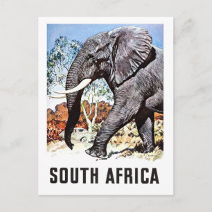Südafrika, großer Elefant, Vintage-Reisepostkarte Postkarte