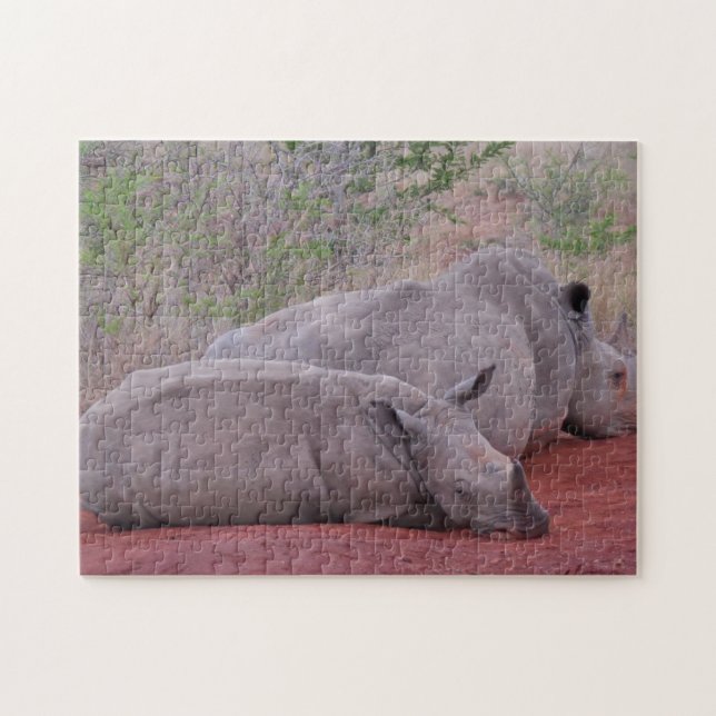 Südafrika Hluhluwe Rhino (Horizontal)