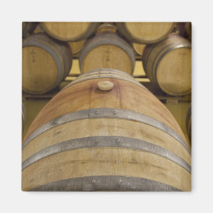 Südafrika, Kapstadt. Stellenbosch-Weingebiet Magnet