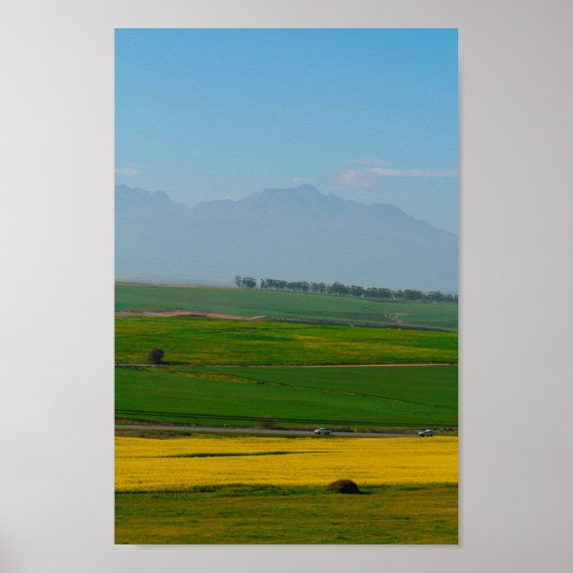 Südafrika Landschaft des ländlichen Raums Canola F Poster (Vorne)