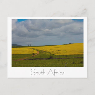 Südafrika Landschaft Natur Szenerie Postkarte