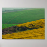 Südafrika Landschaftspflege Canola Fields Poster