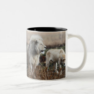 Südafrika-Löwe als König Zweifarbige Tasse